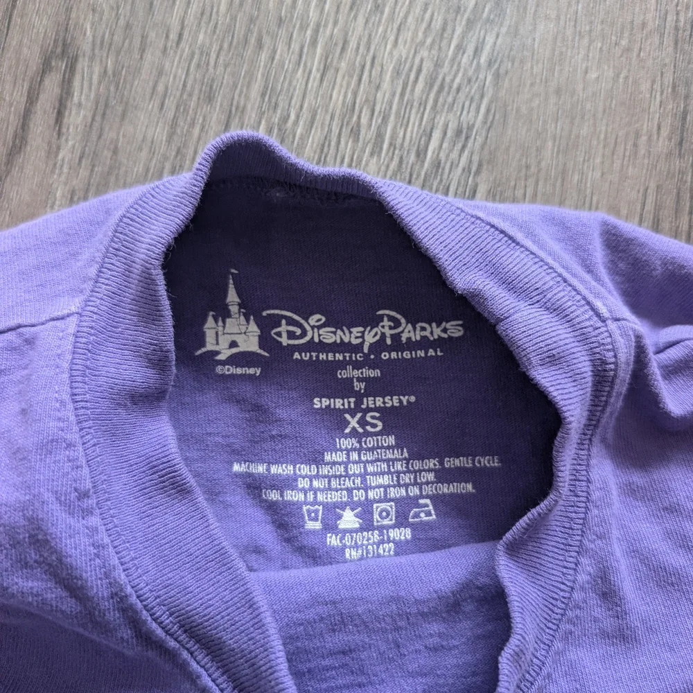 Disneyland Resort Spirit Jersey - Picture 3 of 4